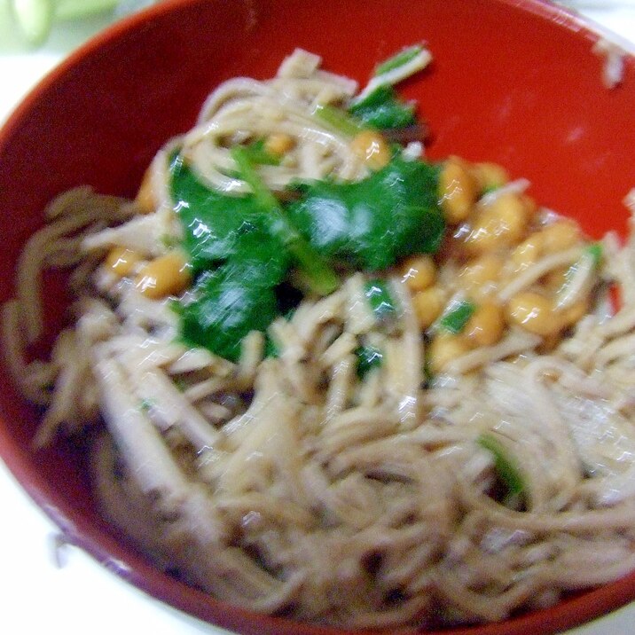 ちびっこのためのほうれん草入りお蕎麦